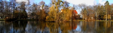 Teich im Levinschen Park in Göttingen. Was man hier nicht erahnt: Dort tummeln sich ganz viele Vögelein. Schwäne, verschiedene Entenarten, Wildgänse. Auf dem Inselbaum sitzt sogar ein Reiher.